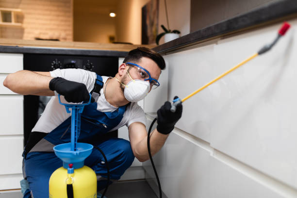 Best Pest Control Near Me  in Pawtucket, RI