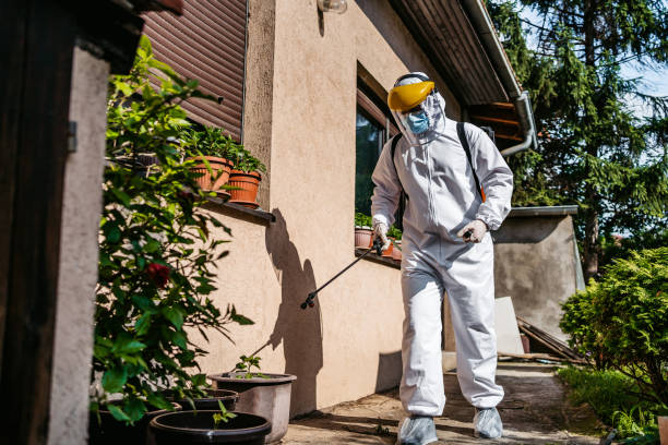 Best Local Pest Control Services  in Pawtucket, RI