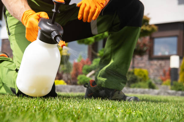 Best Flea Control Services  in Pawtucket, RI