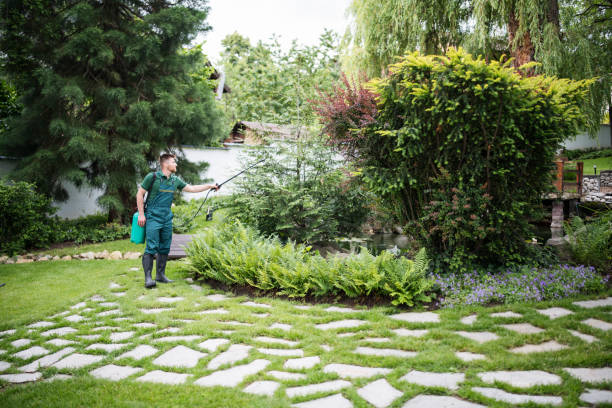 Best Bird Control  in Pawtucket, RI