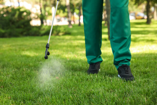 Best Mosquito Control Services  in Pawtucket, RI