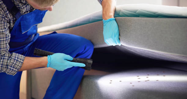 Best Wasp Removal Services  in Pawtucket, RI