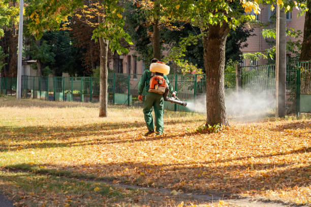 Best Bed Bug Extermination  in Pawtucket, RI
