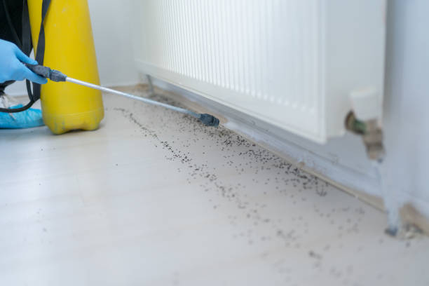 Best Commercial Pest Control Services  in Pawtucket, RI