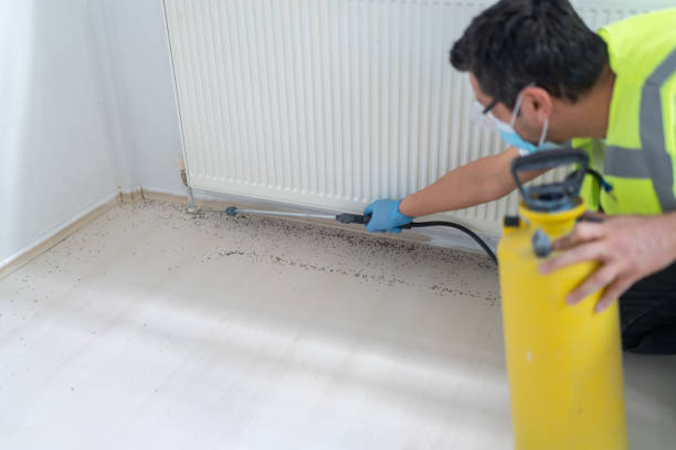 Best Ant Control Services  in Pawtucket, RI